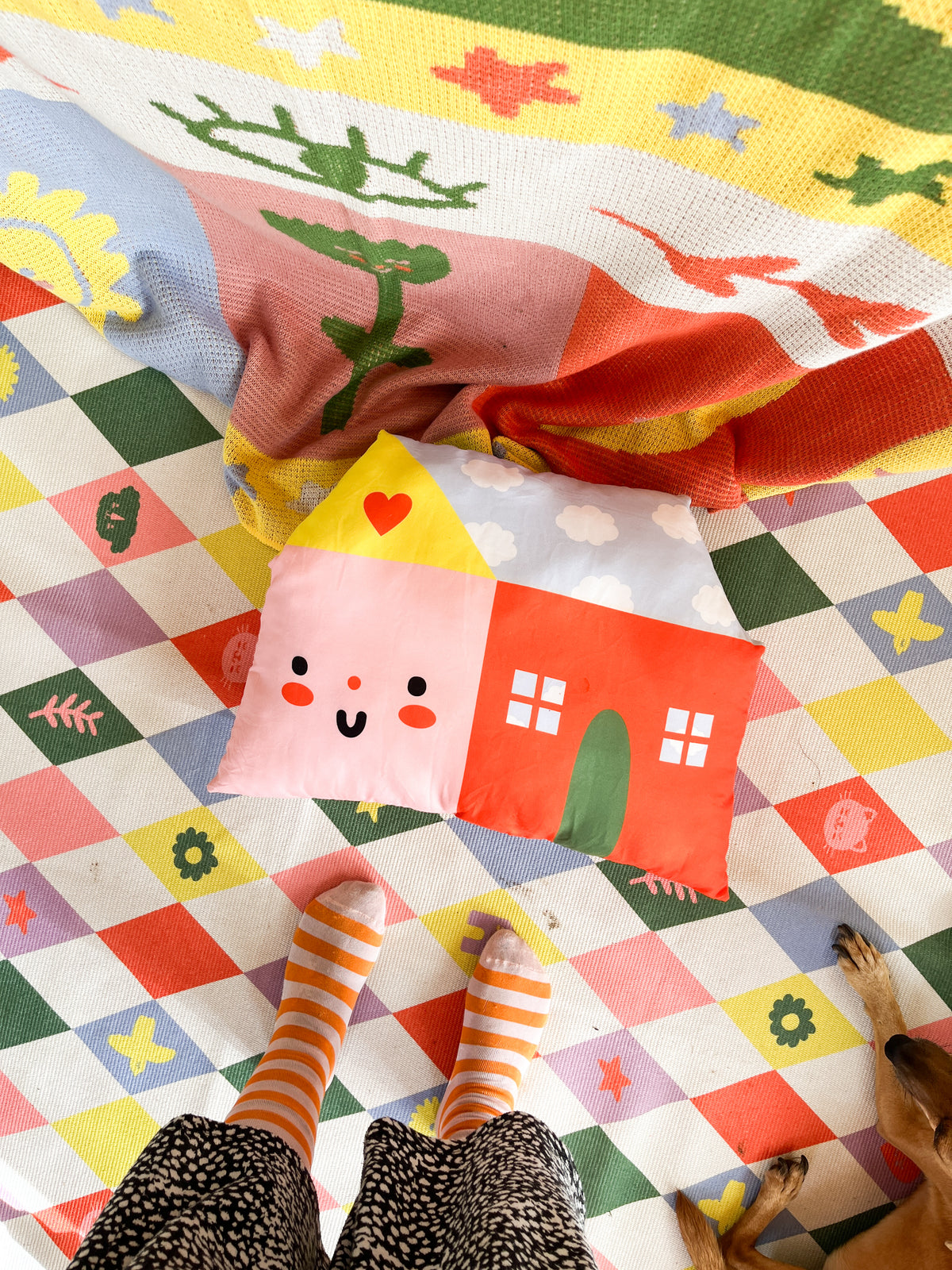 House pillow