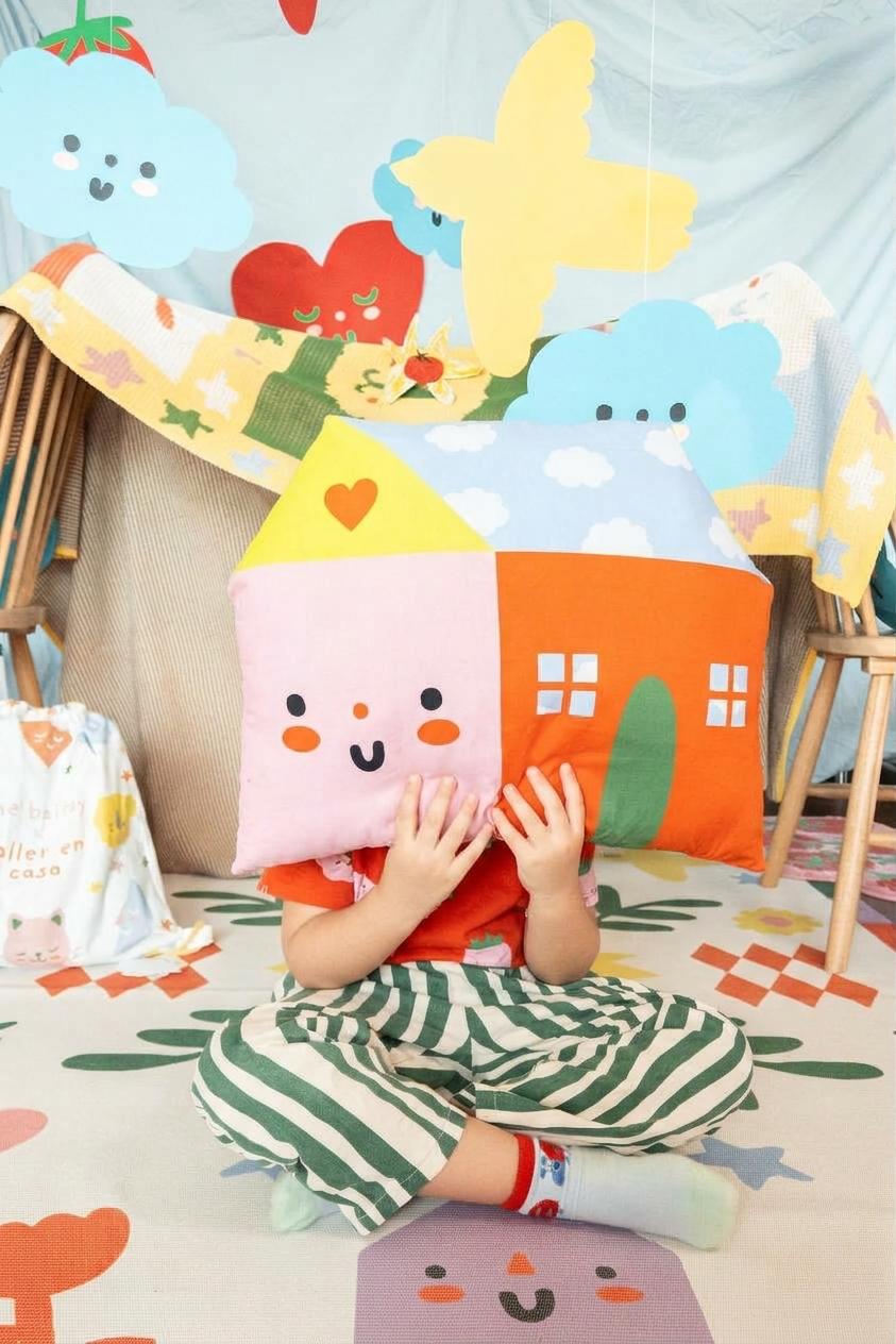 House pillow